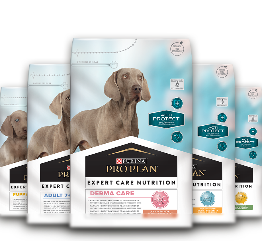 expert care nutrition perro