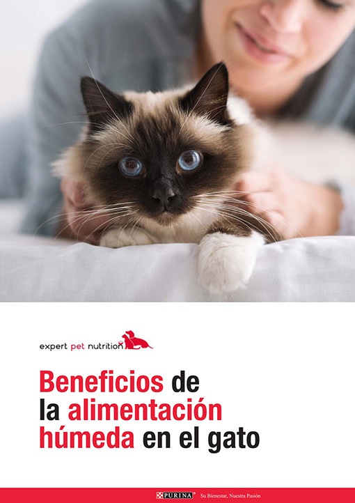 Monográfico: Beneficios de la alimentación húmeda en gatos