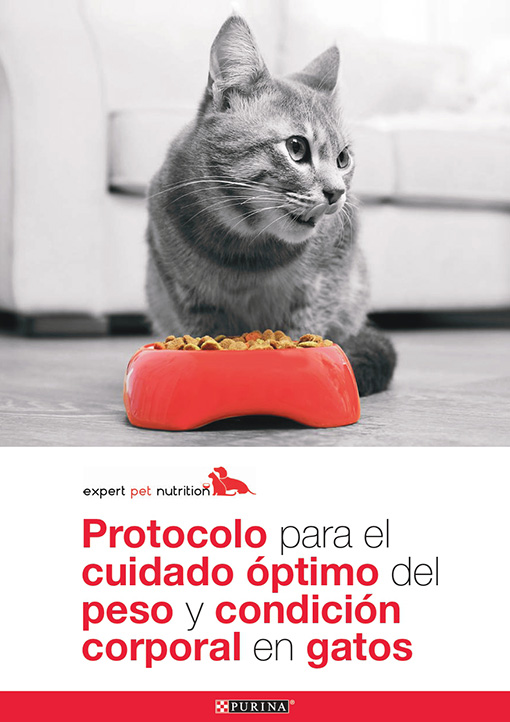 Protocolo: Peso óptimo en gatos (Hervera y Villaverde, 2019)