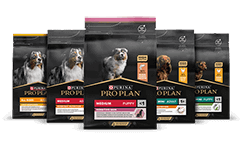 Alimentos Mantenimineto para perros PRO PLAN®