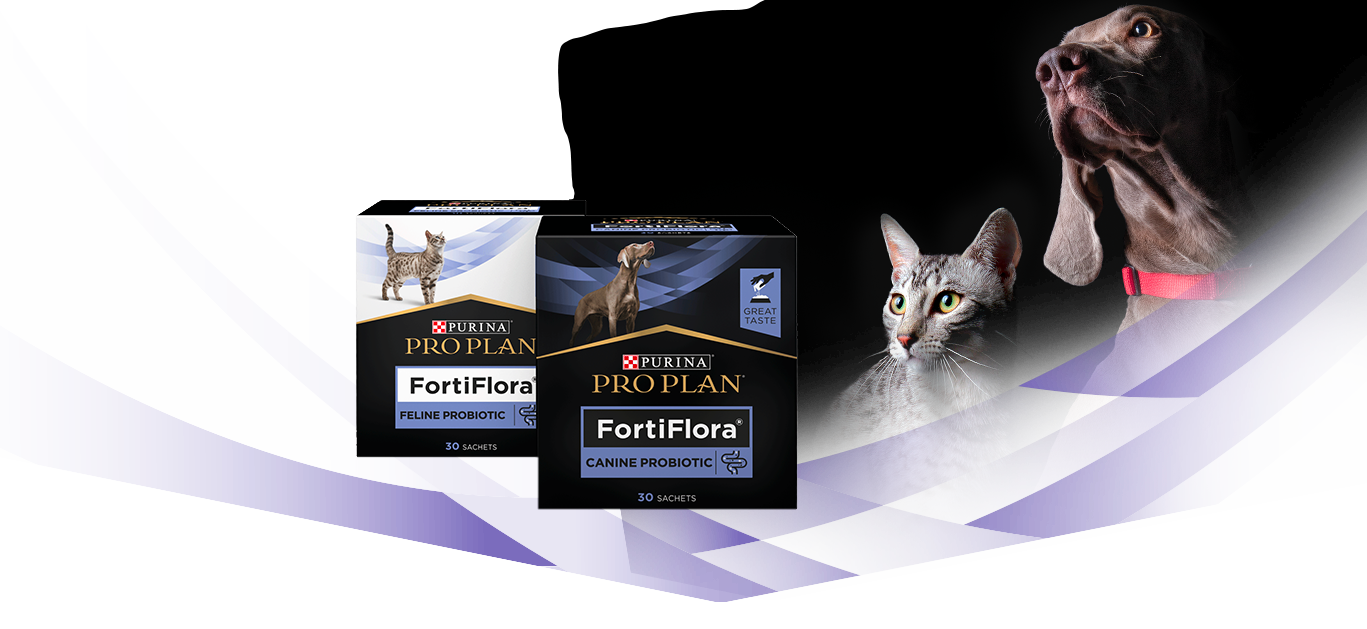 Fortiflora perro y gato