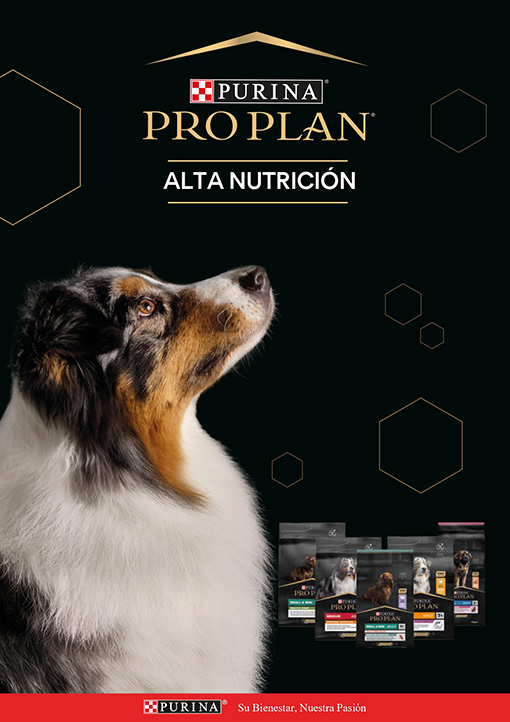 Catálogo PRO PLAN PERRO - Gama Fisiológica