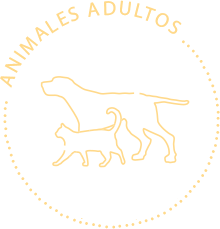 Animales Adultos