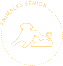 Animales Sénior