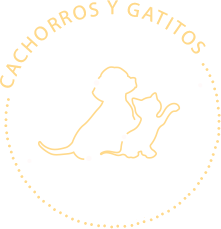 Cachorros y Gatitos