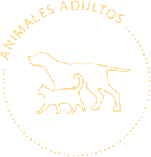 Animales Adultos