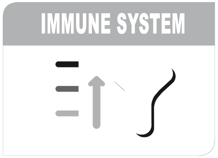 Proven to promote a strong immune system highlight image