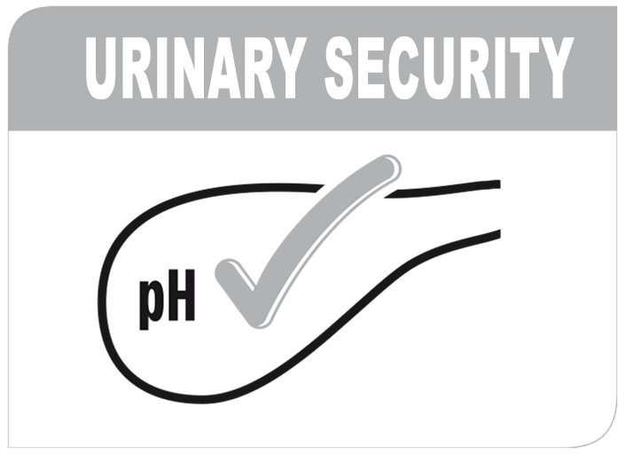Urinary security / UTH security highlight image