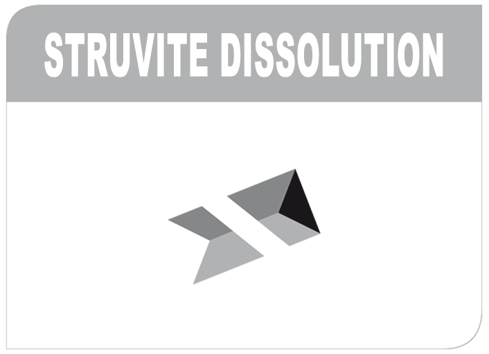 Struvite dissolution / ST dissolution highlight image