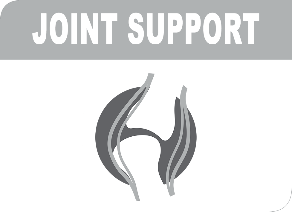 Joint support highlight image