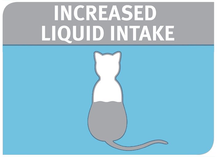Increased liquid intake_keybenefits
