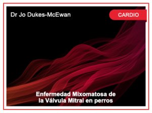 Enfermedad Mixomatosa de la Válvula Mitral en perros. Dr Jo Dukes-McEwan