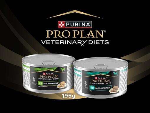 PRO PLAN® VETERINARY DIETS Hypoallergenic y Gastrointestinal ahora disponibles en latas de 195g.