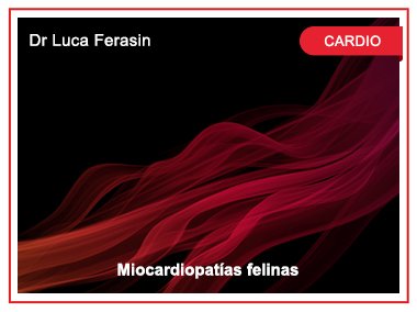 Miocardiopatías felinas. Dr Luca Ferasin